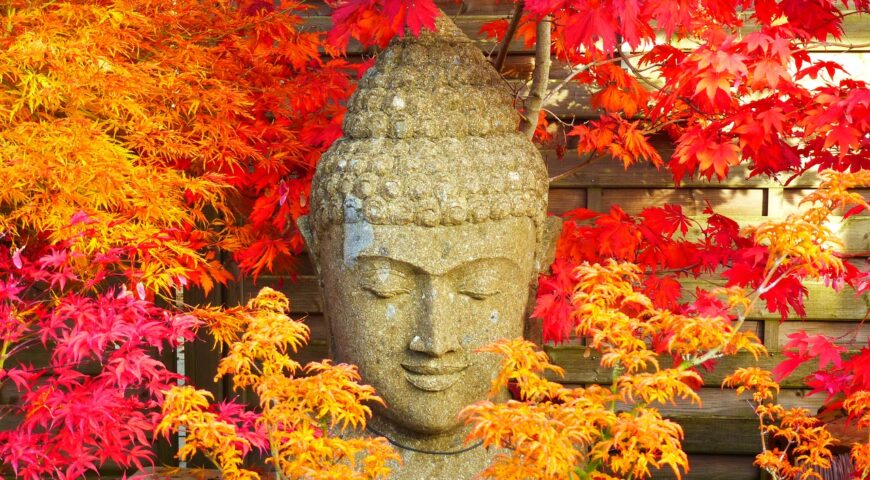 Your Legendary Potential