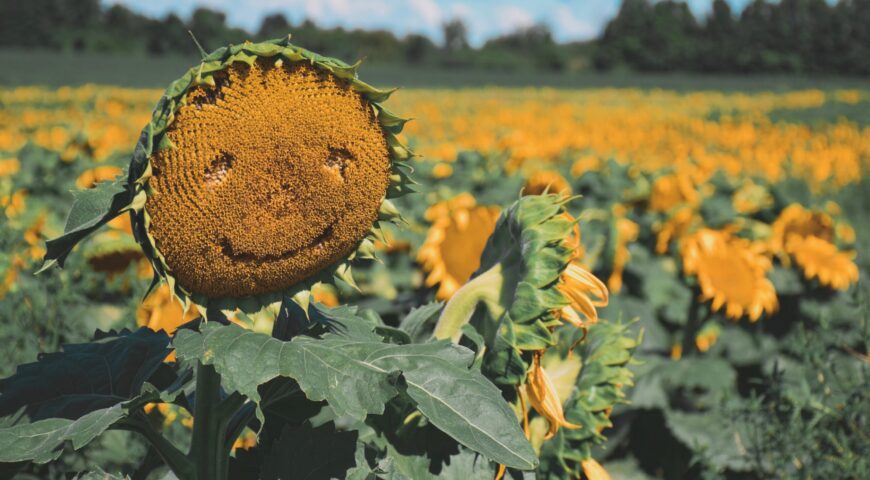 The Key Ingredient to Genuine Happiness